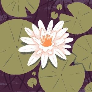 Meet your Posher, Bellz